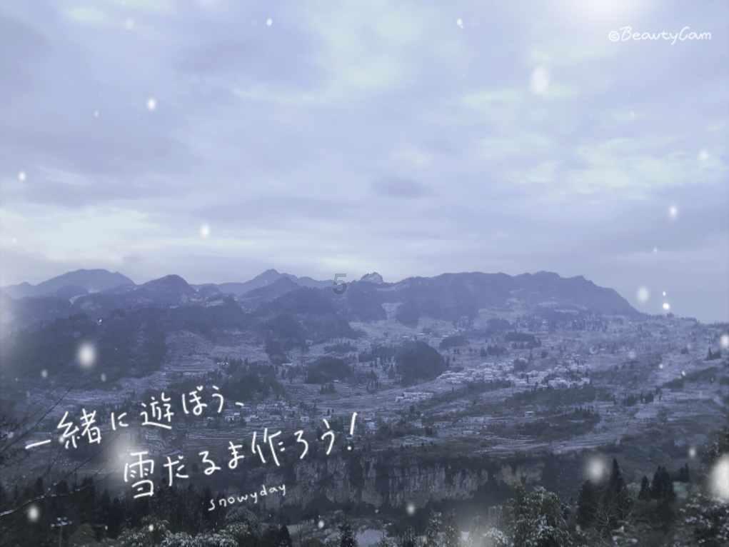 豆娃勇士2