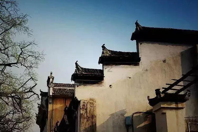 获评感动龙江人物的他 被这条朋友圈感动了
