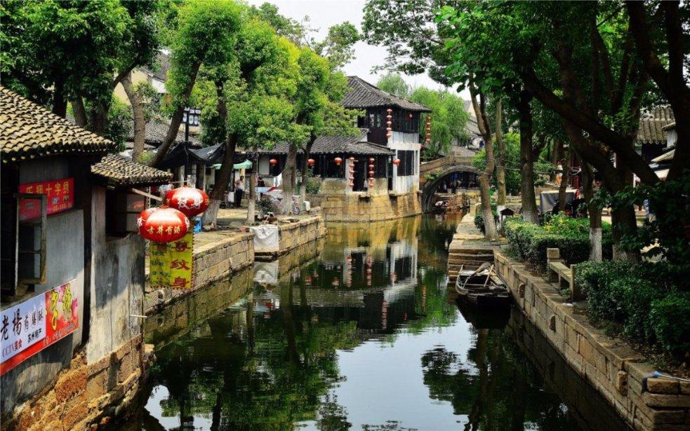 拯救蓝色小鸟